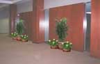 elevator with CD plants images